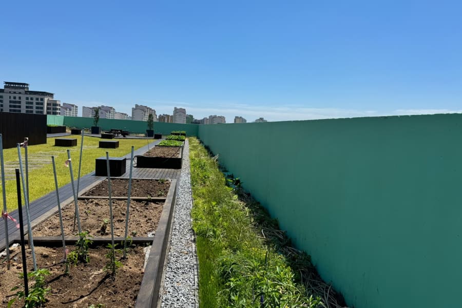 제주도 제주시 옥상녹화 시스템