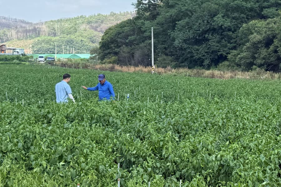 축분바이오차 활용 저탄소 기술 보급 실증사업